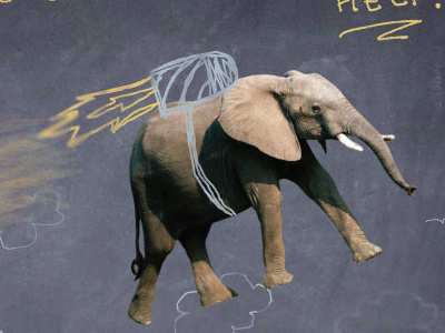 IFAW Elephant ad advertisement elephant student project