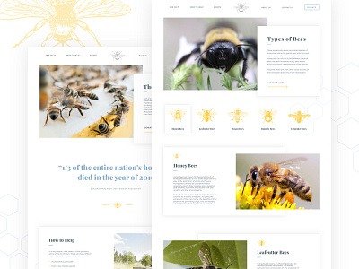 Save the Bees desktop (set 2/2) app bees branding clean concept desktop digital endangerment environment minimal modern save the bees typography ui ux web design website