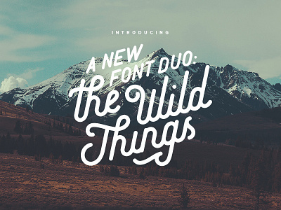 The Wild Things calligraphy cursive duo font handmade hipster lettering letters script type typeface typography
