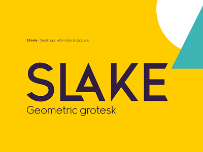 Slake Typeface app branding design font icon illustration letter lettering logo type typeface typography ui ux vector web