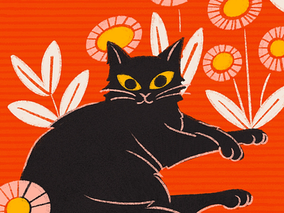 Black Cat cat drawing floral illustration procreate