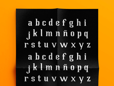 Plank Typeface type typerlover typography