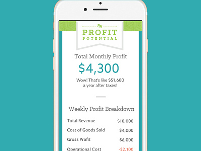 Business Boutique Profit Potential Tool app design branding business boutique financial tool product design profit profit potential profit tool