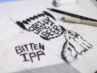 Grizzly Beer Sketches bear beer branding brewery concept identity illustrator ipa label logo process sketch