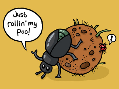 Dung Beetle cute gross illustration