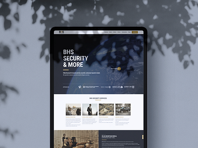 Security company web design