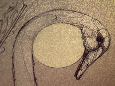 Swans and Moons album art pencil swan