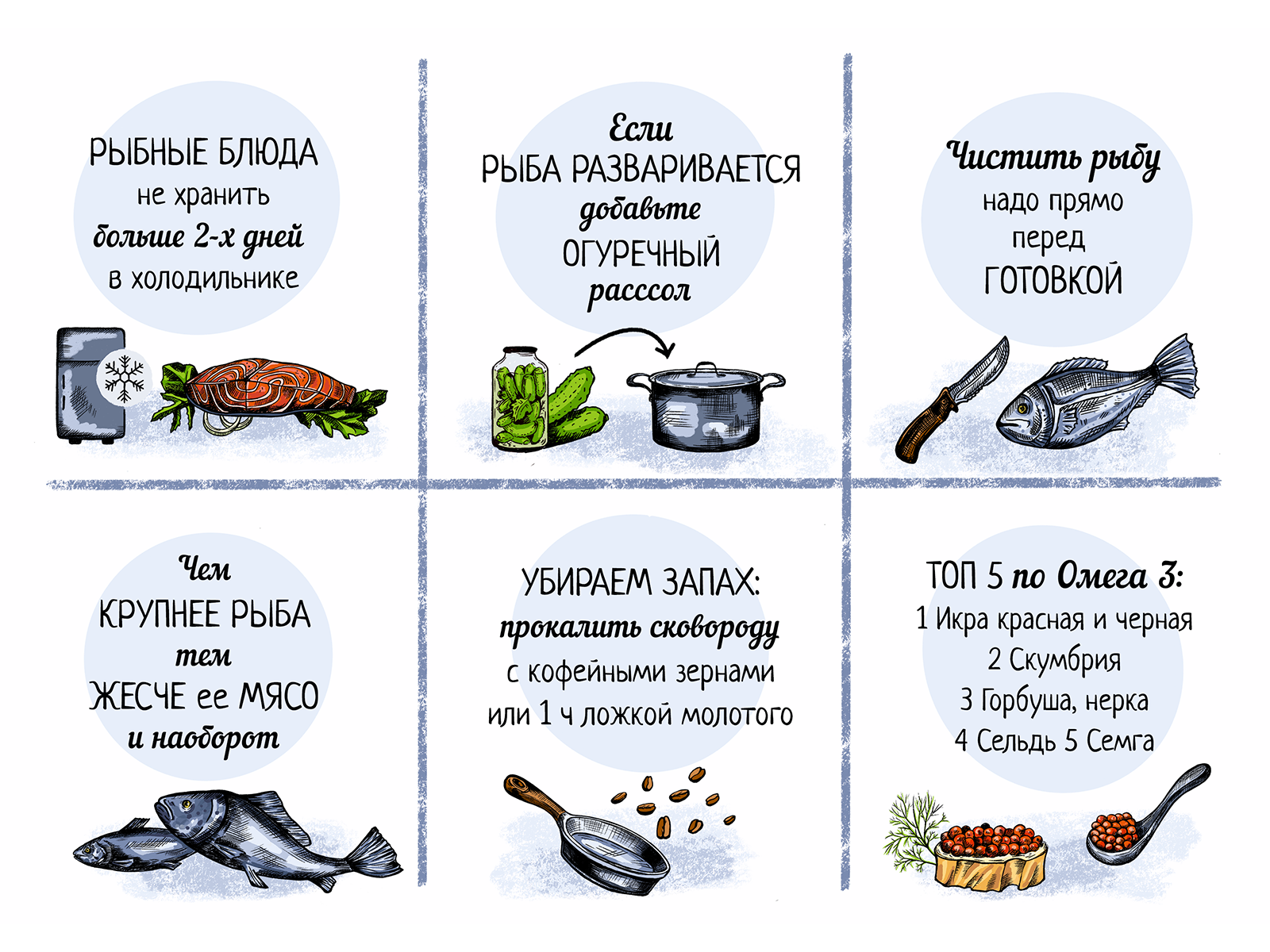 Fish adivces by Nadezhda Abaneeva on Dribbble