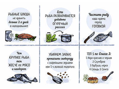 Fish adivces branding design illustration ipad poster procreate