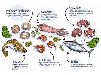 The benefit of the seafood design illustration ipad procreate