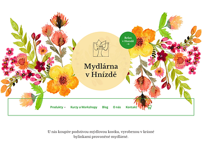 Mydlarna V Hnizde diy hero homepage illustration ui web