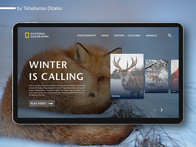 National Geographic - Snow earth landing page ui natgeo national geographic nature nature photography ui ux design