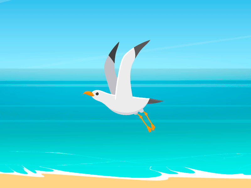 Fly bird. Gull aftereffects animation bird fly gull