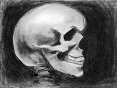 Skull beauty elegance halloween skull