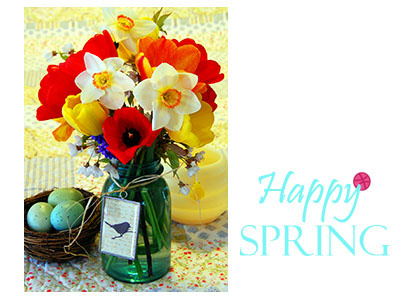 Welcome spring; hello Dribble! canning jar cozy daffodils eggs happy home nest quilt spring spring flowers tulips