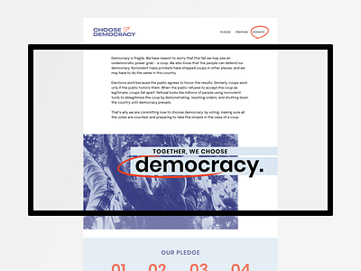 Choose Democracy 2020 blue brand design branding democracy election logo logo design political politics typogaphy ui web website