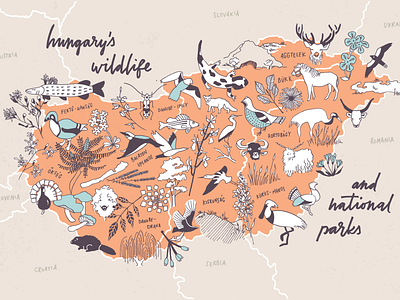Hungary's Wildlife and National Parks animals budapest country drawing europe fauna flora hand drawn hand lettered illustrated map illustration lettering magyar magyarorszag national park plants terkep wildlife