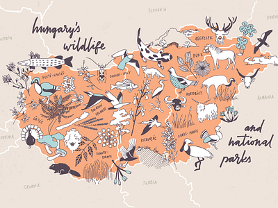 Hungary's Wildlife and National Parks