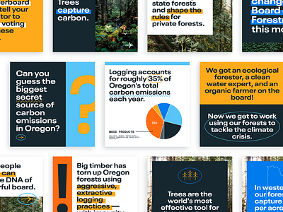Board of Forestry Campaign: Social activism activist bold campaign carousel climate change digital digital marketing eye catching forest infographic instagram modern movement nonprofit oregon post social media strong trees