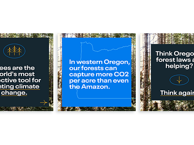 Board of Forestry Campaign: Social activism activist bold campaign carousel climate change digital digital marketing eye catching forest graphic instagram modern movement nonprofit oregon post social media strong trees