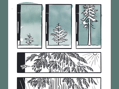 Thuja plicata Seed Journey: Detail branches calm cedar comic conifer forest green growth hand drawn illustration illustrator nature nonfiction pacific northwest panels procreate scientific tree watercolor western red cedar