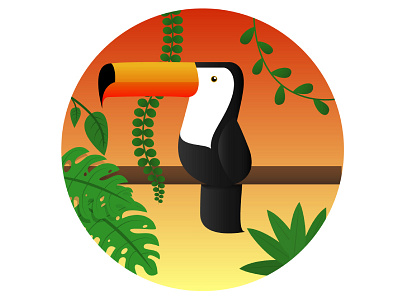 Tropical Toucan birds graphic design illustration nature sunset toucan tropical vector vector illustration