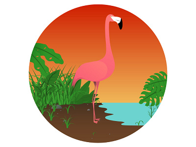 Tropical Flamingo bird birds flamingo graphic graphic design illustration ilustración nature pink sunset vector