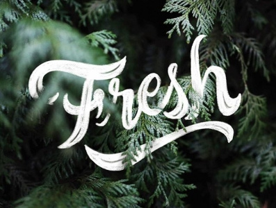 Fresh Lettering brand branding goodtype letter lettering procreate typography