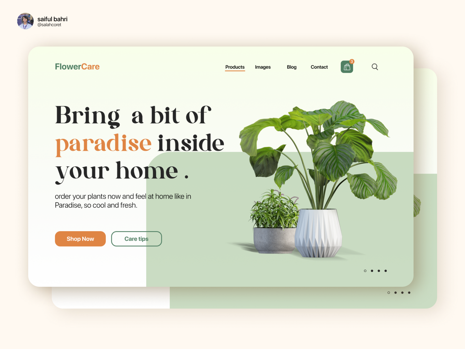 FlowerCare - Visual UI Website for a Store Flowers by Saiful Bahri on ...