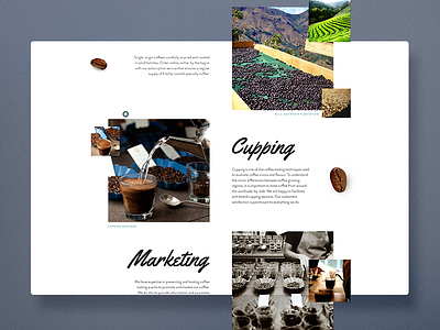 Coffee Content Page Layout