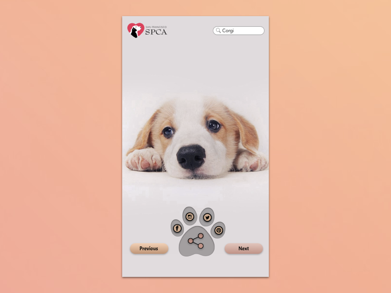 Daily UI #010 - Social Share adoption puppies dogs corgis corgi social share daily ui 010 design dailyui ui daily challange daily 100 challenge daily 100