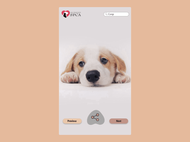 Daily UI 10 - Social Share Animation interaction design interaction animation corgis dailyui corgi principle animation social share daily ui 10 daily ui