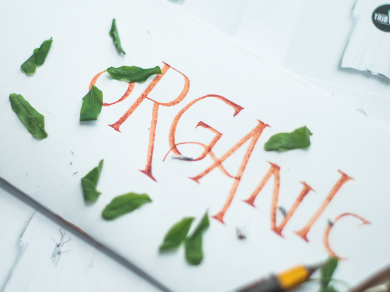 Hand Lettering Organic typography type custom type identity logo handwritten calligraphy handlettering