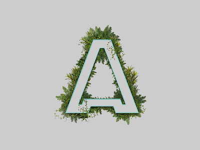 A a alphabet green ideas letter letters lime plants typography