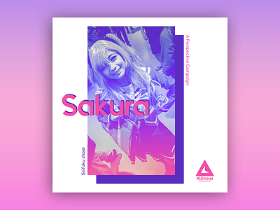 Sakura - Concept 2