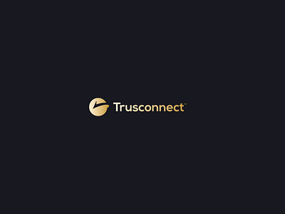 Trusconnect identity logo real estate