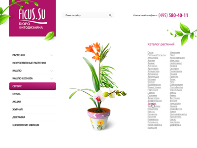 House plants store Ficus flowers green light plants site store web