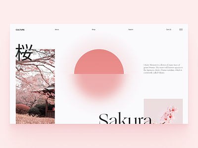 Sakura Website clean color flower japan minimal typography ui uiux ux web webdesign