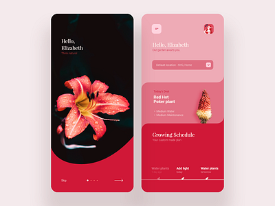 Flower App - DailyUI 045 app color colorful flower grow interface ios minimal mobile plant red shop ui ux welcome