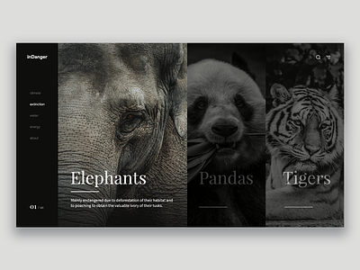 Endangered Animals animals elephant endangered interface landing page minimal panda species tiger typography ui web webdesign website