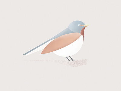 bird art flat graphic icon illustration minimal vector vector art
