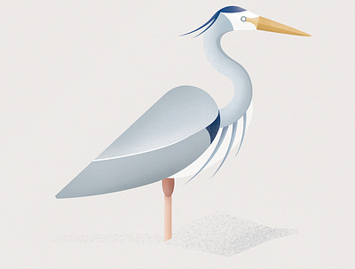 blue heron art design flat graphic illustration minimal vector vector art