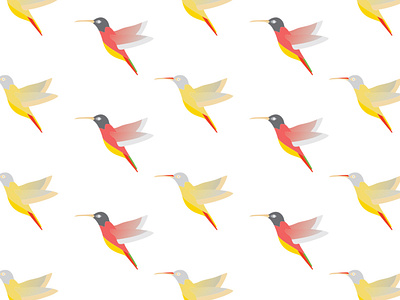 humming-bird pattern