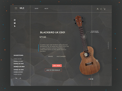 Hale ukulele store blog creative light redesign subscribe ui ux website