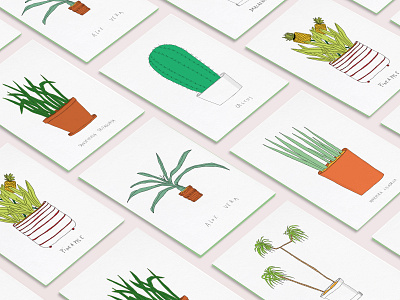 collection of greeting cards from my house plants drawing etsy greeting card illustration postcard stationary