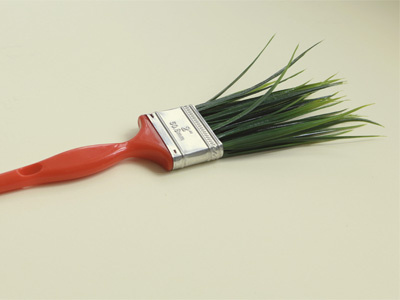 Grass Brush paint painting photography readymade