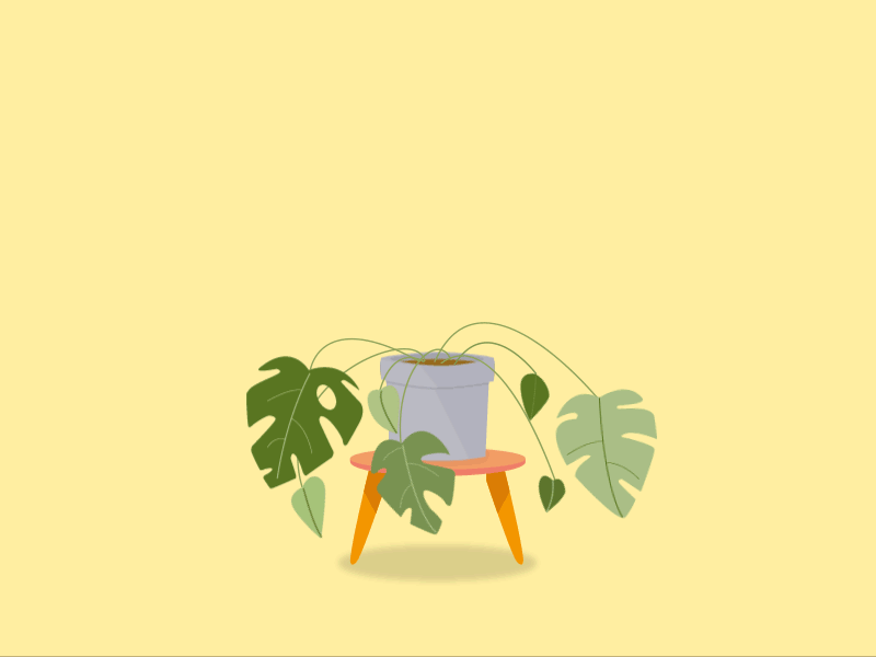 A plant's life aftereffects animation digitalart gif illustration illustrator lifecycle photoshop vector vectorart
