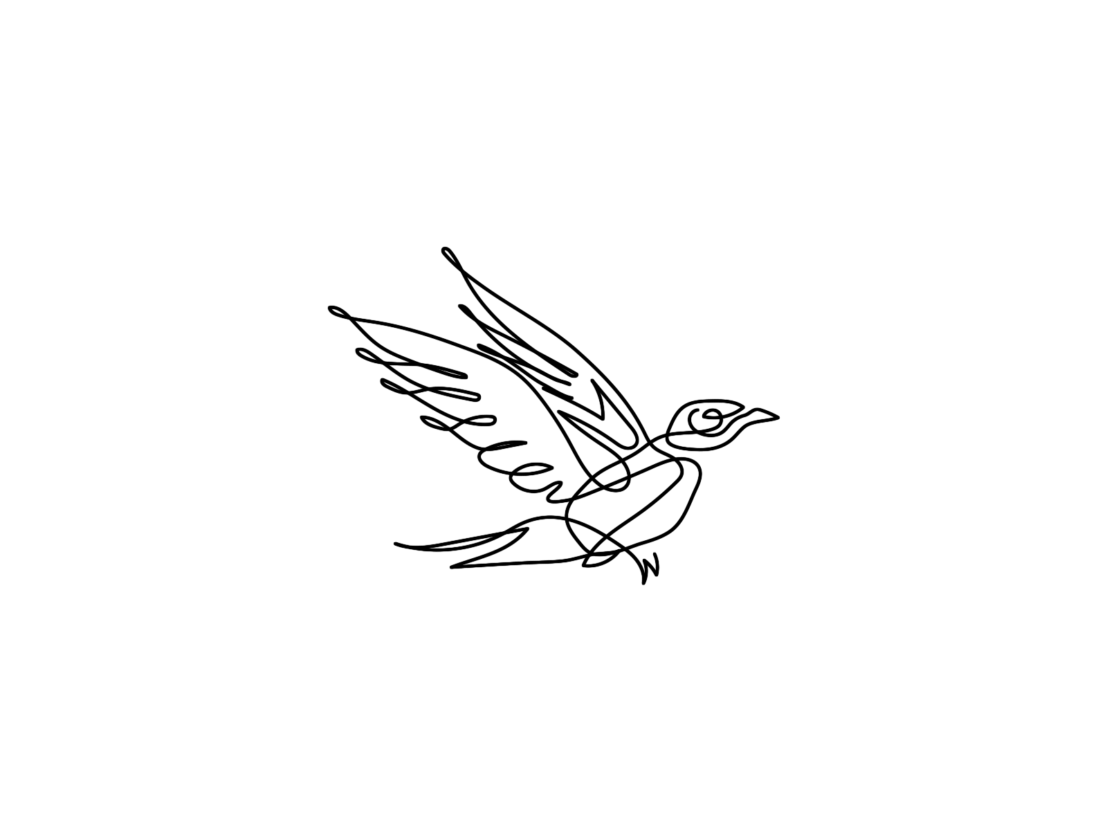 Lightness animal animation art beautiful bird branding design draw drawing flying graphic design illustration illustrator line lines logo minimal motion oneline vector