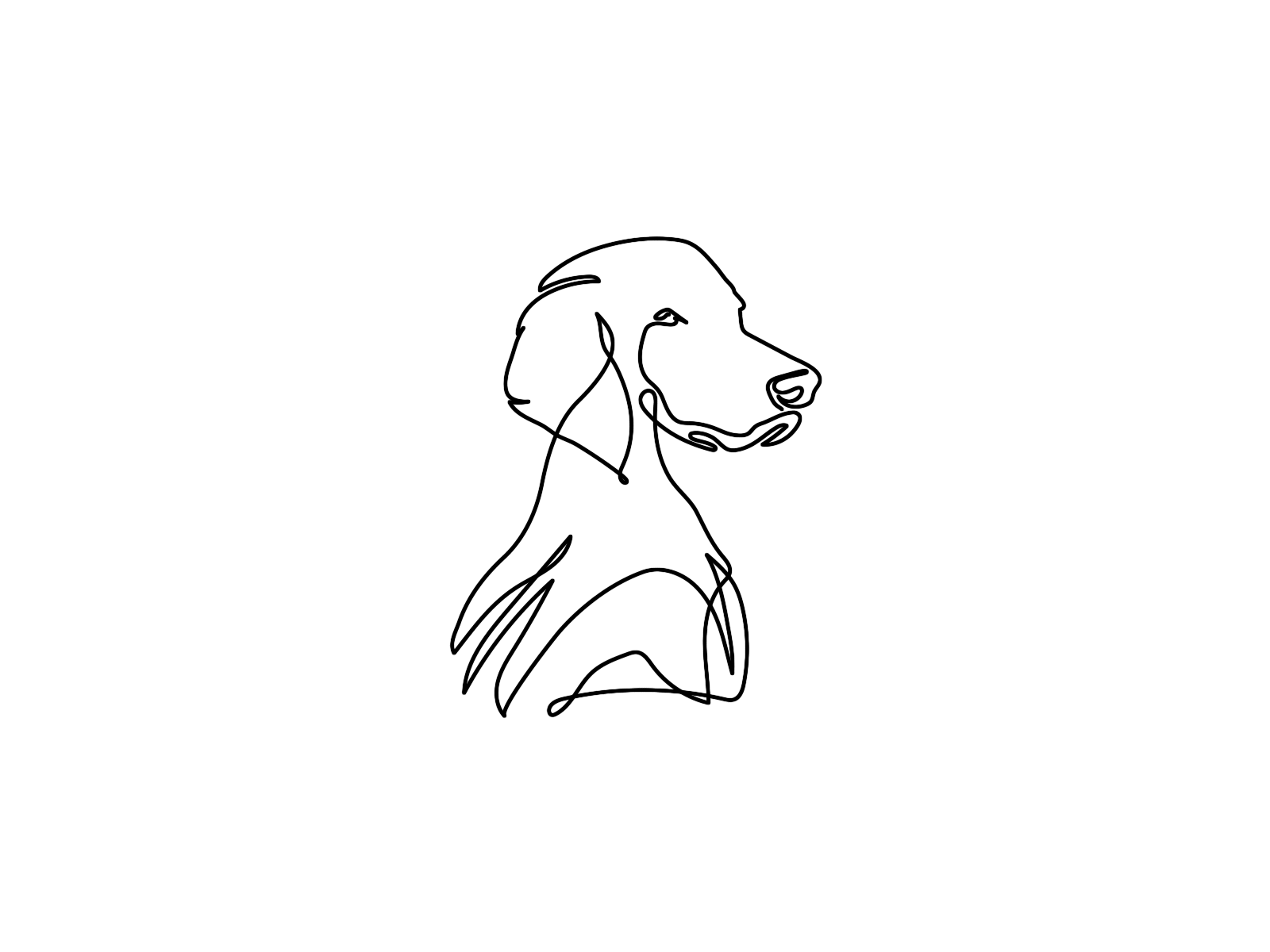 Stay aftereffect animal animation art beautiful branding design dog draw drawing graphic design illustration illustrator line lines logo minimal motion oneline vector