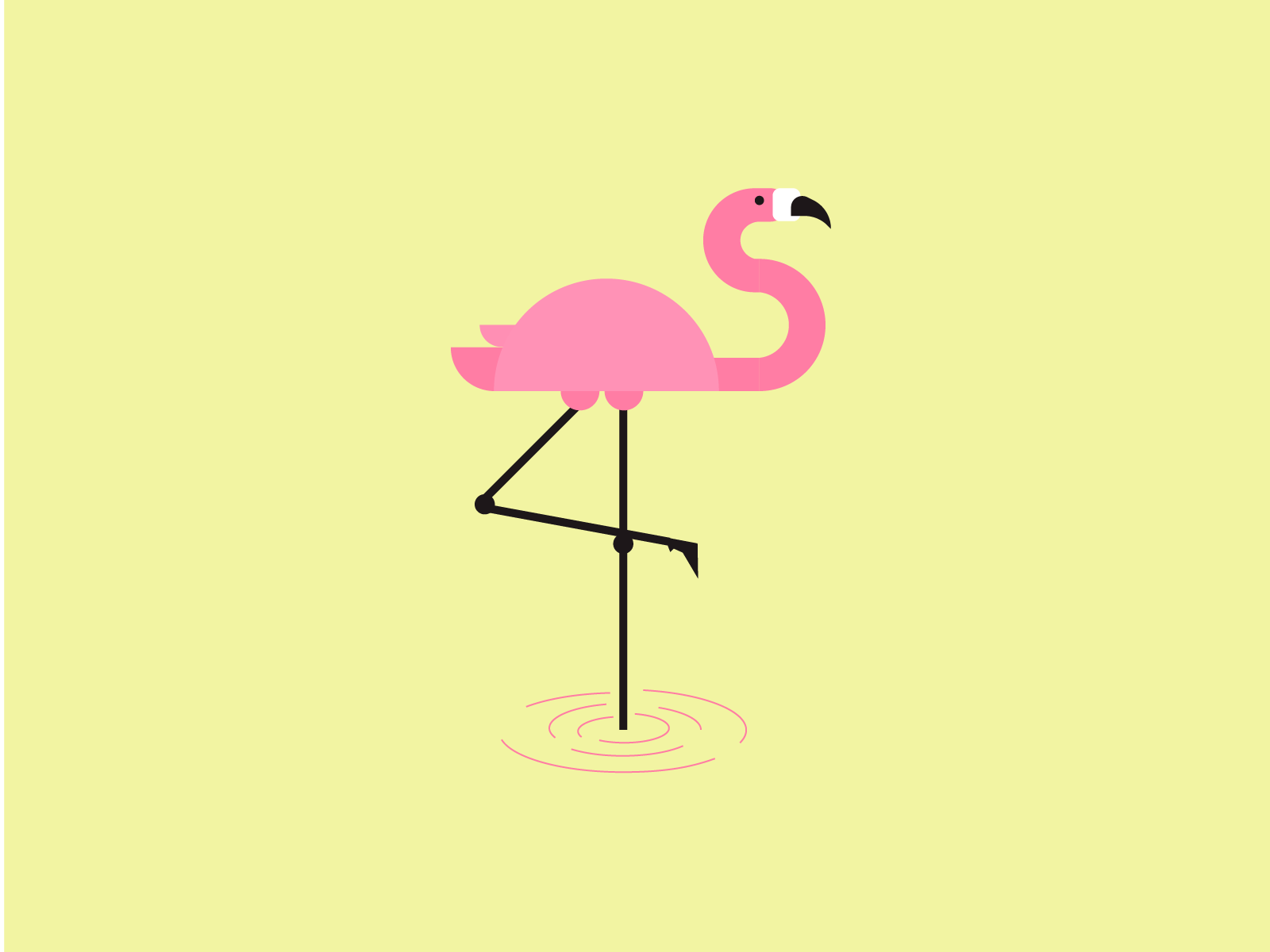 4_365 | Flamingo at large by zhiyu on Dribbble